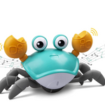 Wandelende Krab